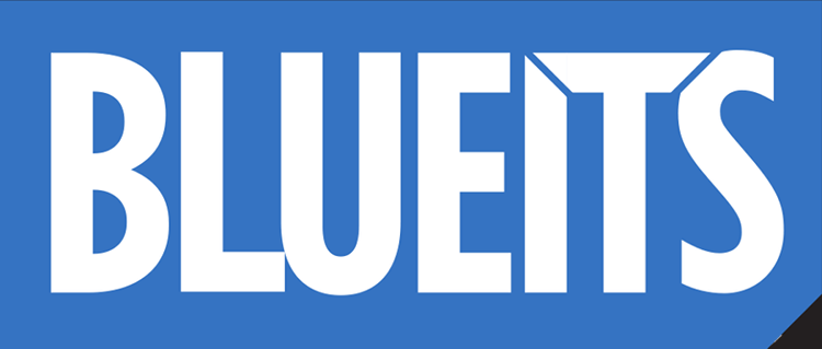 Logo of BLUEITS GmbH